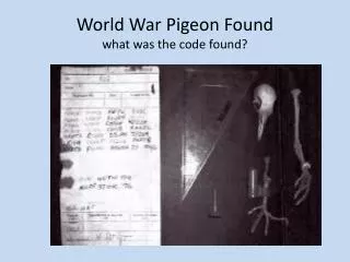 World War Pigeon Found what was the code found?
