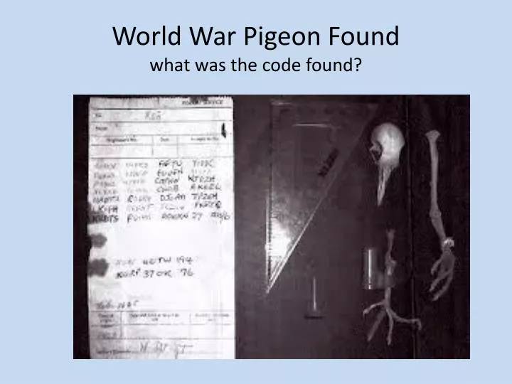 world war pigeon found what was the code found