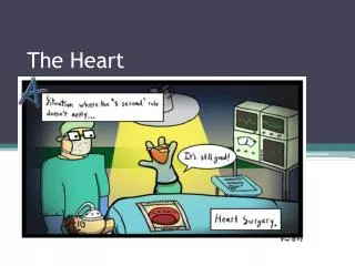 The Heart