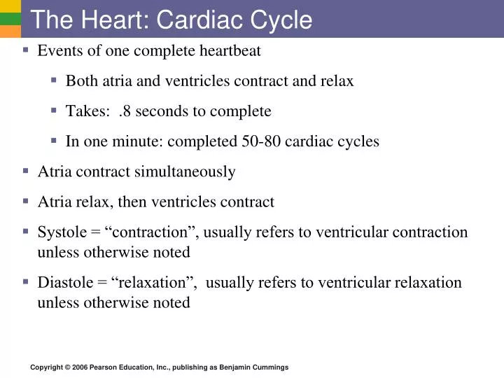 the heart cardiac cycle