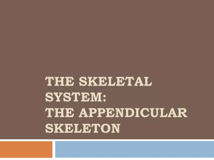the skeletal system the appendicular skeleton