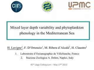 Mixed layer depth variability and phytoplankton phenology in the Mediterranean Sea