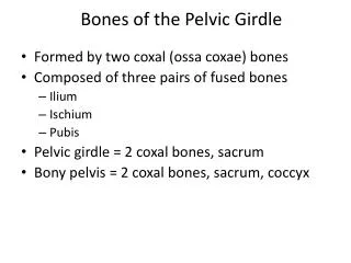 Bones of the Pelvic Girdle