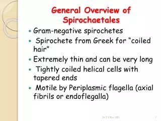 General Overview of Spirochaetales