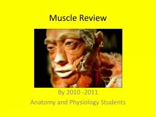 Muscle Review