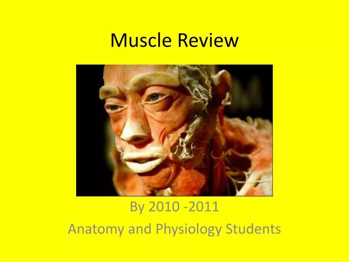 muscle review