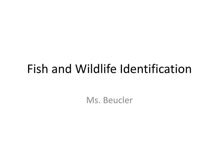 fish and wildlife identification