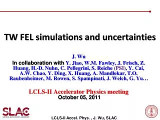 TW FEL simulations and uncertainties