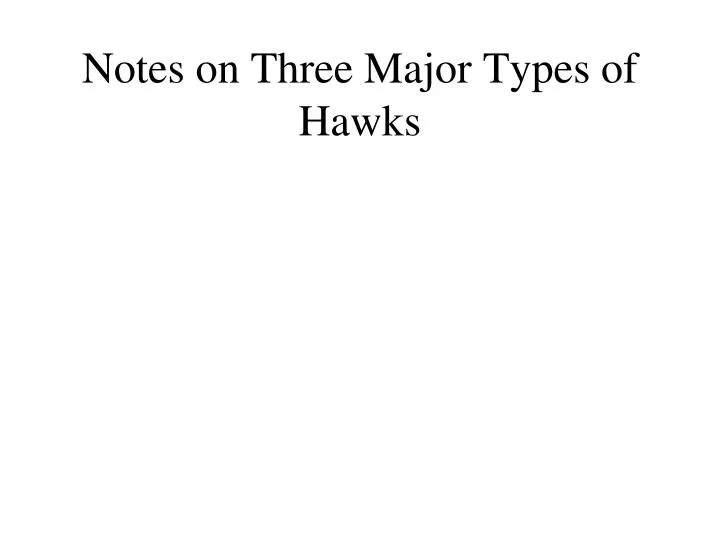 notes on three major types of hawks