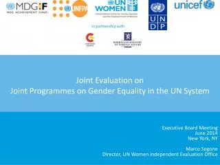 Joint Evaluation on Joint Programmes on Gender Equality in the UN System