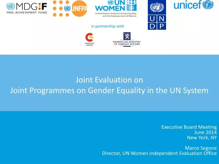 joint evaluation on joint programmes on gender equality in the un system