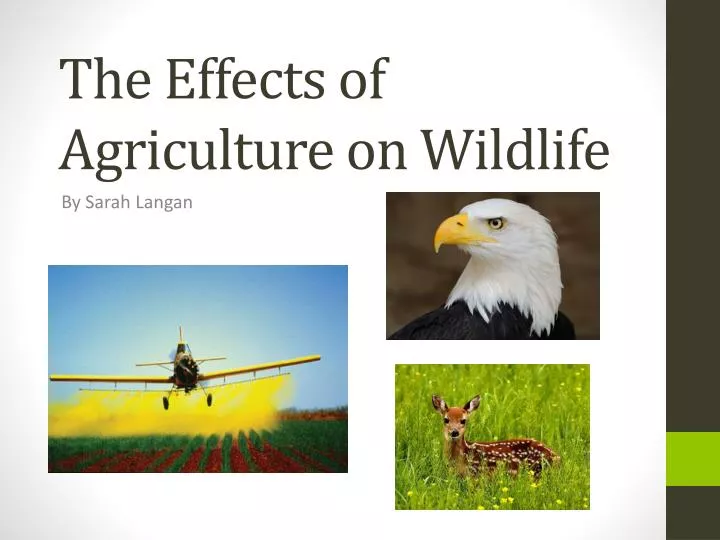 the effects of agriculture on wildlife