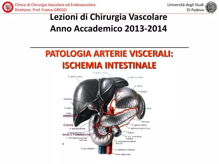 patologia arterie viscerali ischemia intestinale
