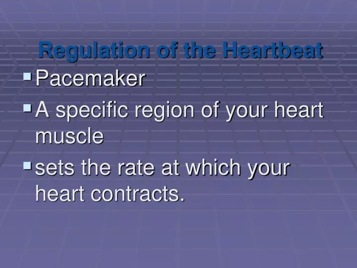regulation of the heartbeat