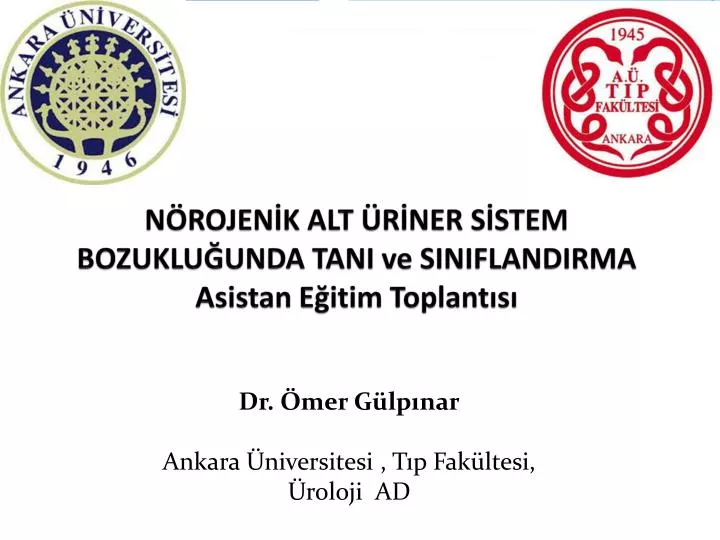 PPT - NÖROJENİK ALT ÜRİNER SİSTEM BOZUKLUĞUNDA TANI Ve SINIFLANDIRMA ...