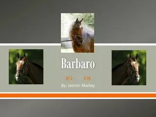 Barbaro