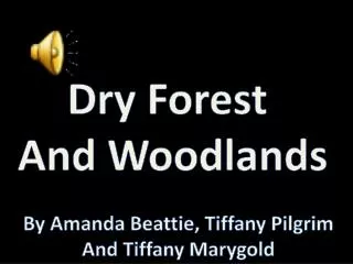 Dry Forest And Woodlands