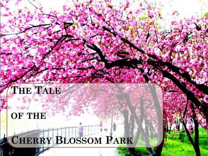 the tale of the cherry blossom park
