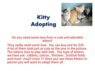Kitty Adopting