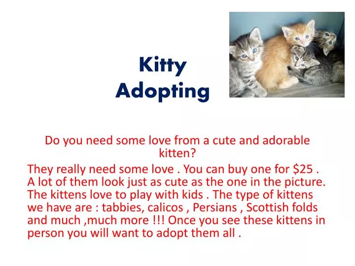 kitty adopting