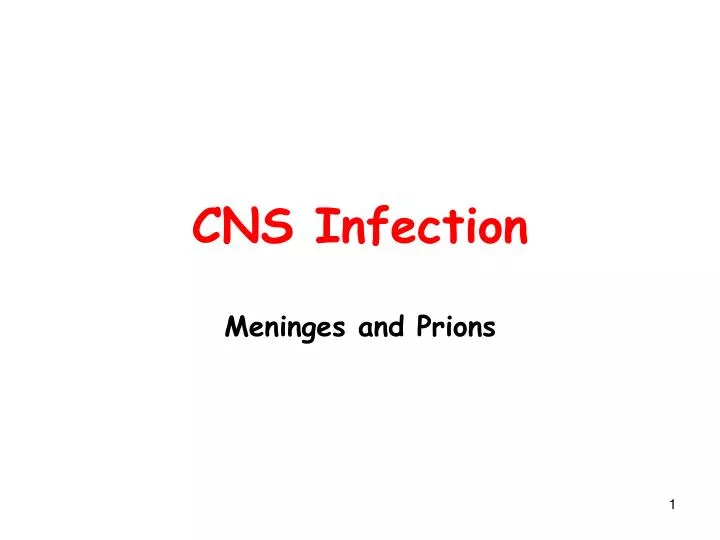 cns infection