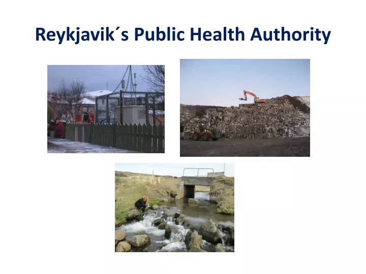 reykjavik s public health authority