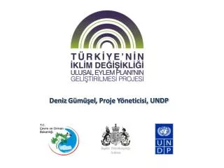 Deniz Gümüşel , Proje Yöneticisi, UNDP