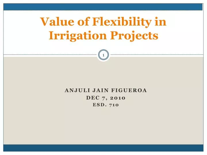 value of flexibility in irrigation projects