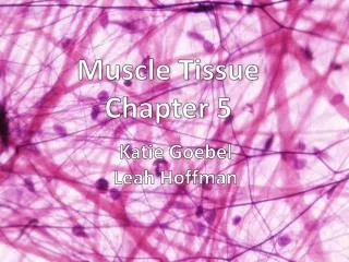 Muscle Tissue Chapter 5