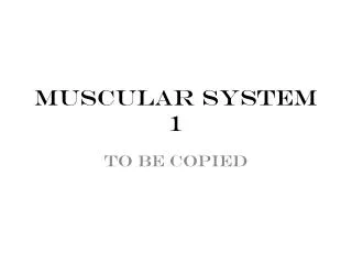 Muscular System 1