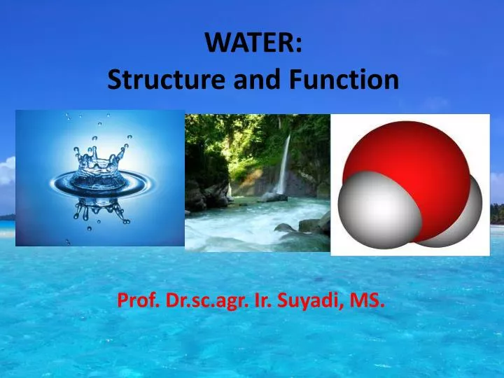 water structure and function