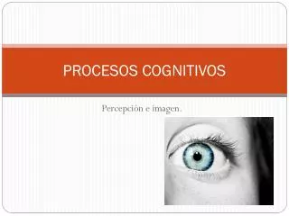 PPT - PROCESOS COGNITIVOS PowerPoint Presentation, Free Download - ID ...