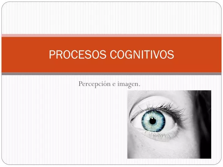 procesos cognitivos