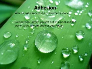 Adhesion-