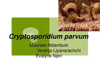 Cryptosporidium parvum