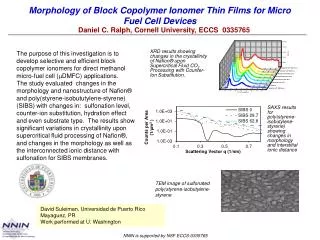 Morphology of Block Copolymer Ionomer Thin Films for Micro Fuel Cell Devices