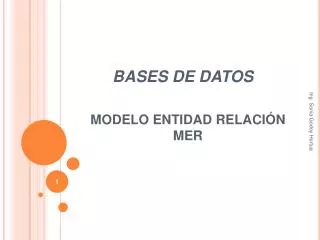 modelo entidad relaci n mer