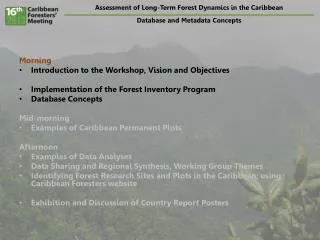 Assessment of Long-Term Forest Dynamics in the Caribbean Database and Metadata Concepts