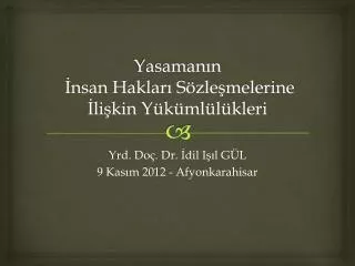 yasaman n nsan haklar s zle melerine li kin y k ml l kleri