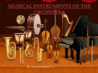 Musical Instruments of the orchestra