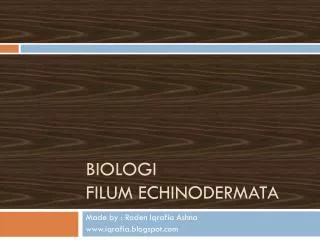 biologi filum echinodermata