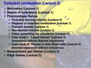 Turbulent combustion (Lecture 2)