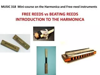 FREE REEDS vs BEATING REEDS INTRODUCTION TO THE HARMONICA