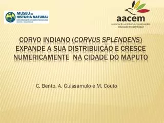 c bento a guissamulo e m couto