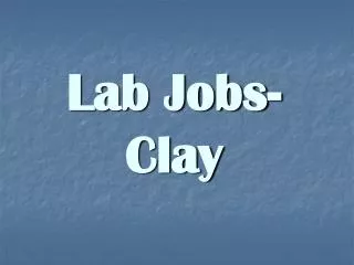 Lab Jobs-Clay