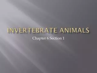 invertebrate animals