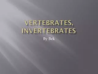 Vertebrates, Invertebrates