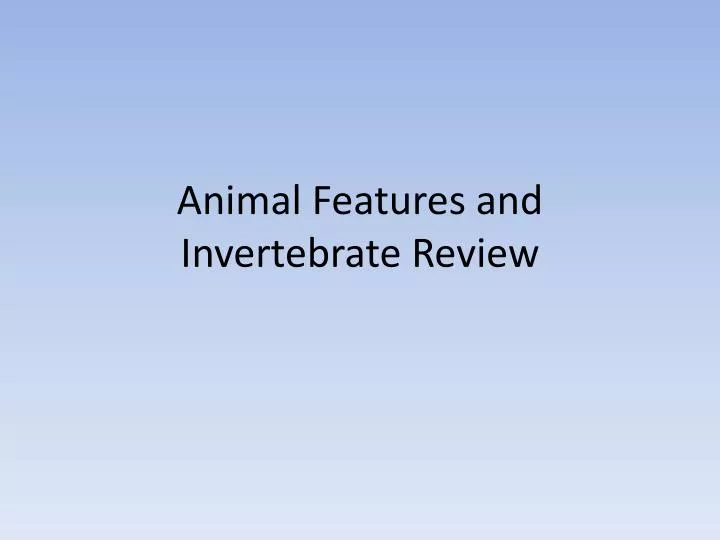 animal features and invertebrate review