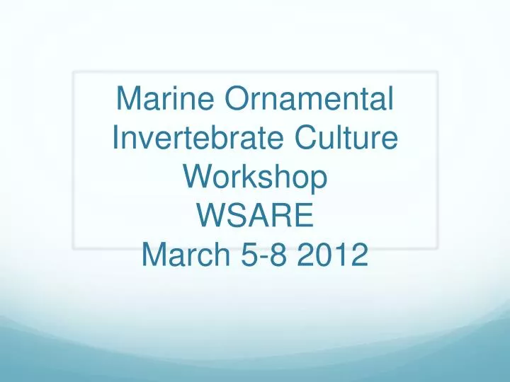 marine ornamental invertebrate culture workshop wsare march 5 8 2012