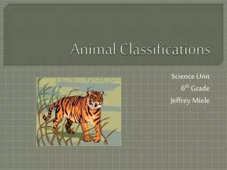 Animal Classifications